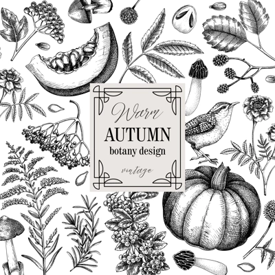 Vintage autumn frame design. Thanksgiving background. Fall leaves, pumpkins, berries, mushrooms sketches. Hand-drawn vector illustration. NOT AI generated